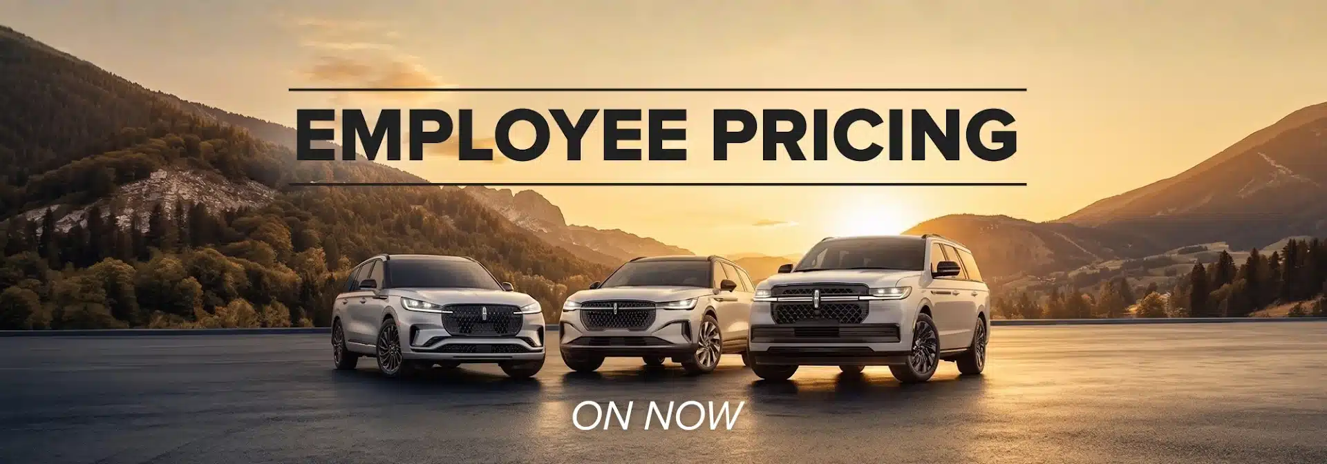 employee-pricing-desktop-lincoln employee-pricing-desktop-lincoln